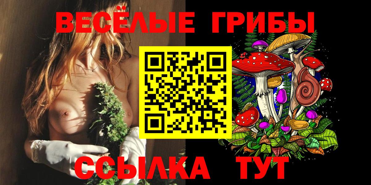 Галлюциногенные грибы Psilocybine cubensis Сертолово