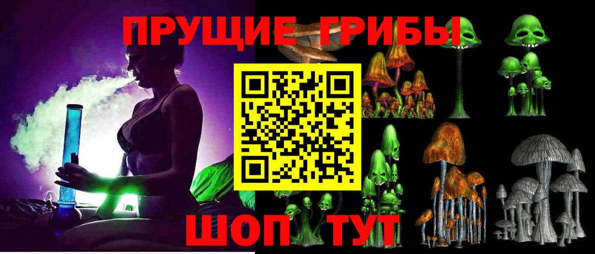Сертолово  Псилоцибиновые грибы MAGIC MUSHROOMS  где можно купить   Вход с VPN 
